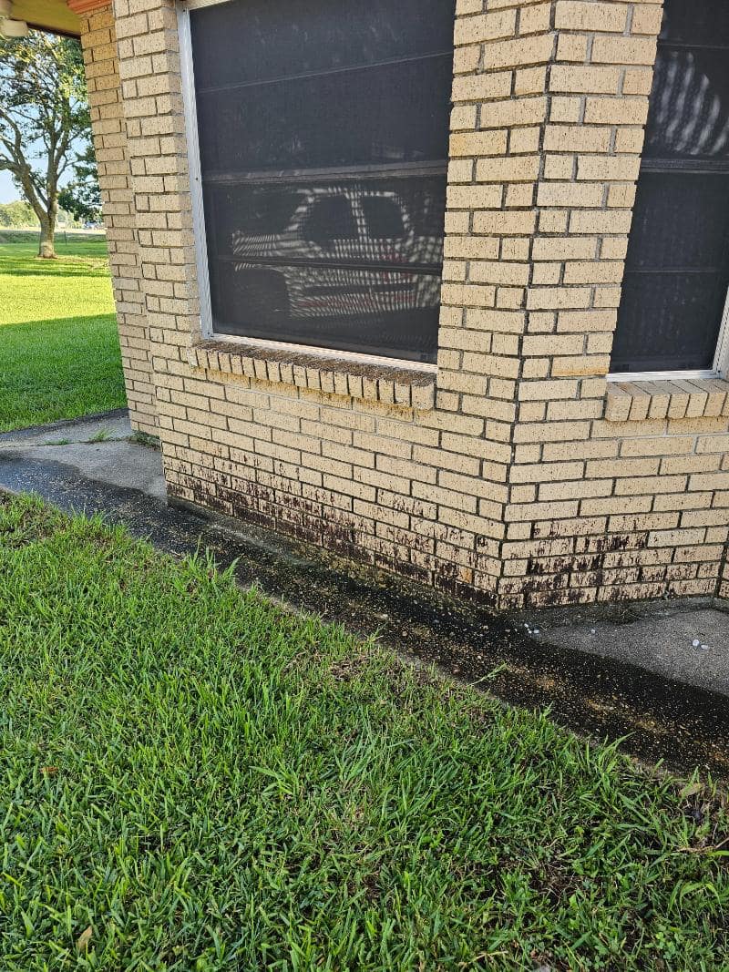 House wash and concrete demo in church point la
